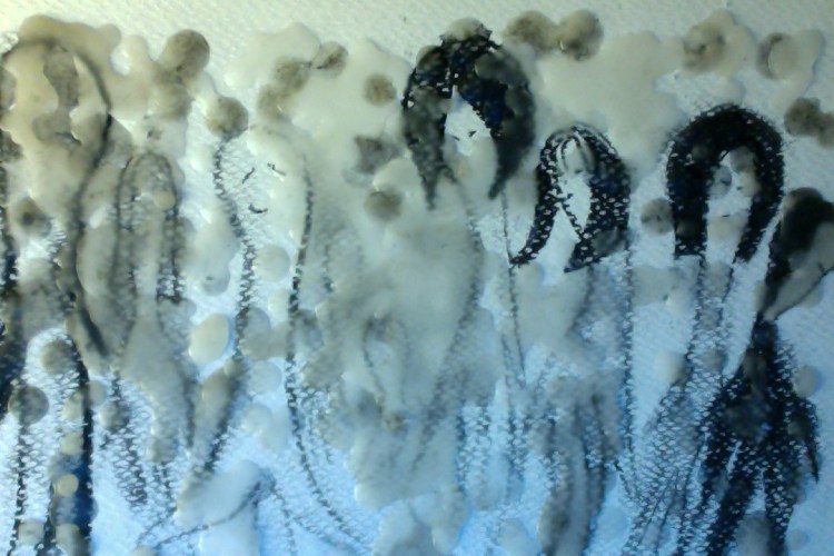 Foto del 24-01-14 alle 17.03 #3